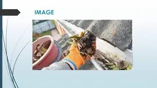 Best Gutter Leaks in New Southgate