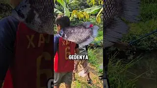 DIKASIH TAU SPOT MANCING RAHASIA BOCIL‼️