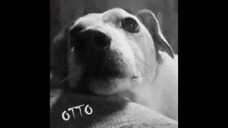Otto - Week Shit (Full EP)