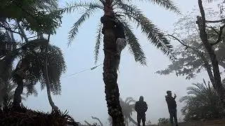 শীতের সকালে মোগো বরিশাল🥰Barishal..