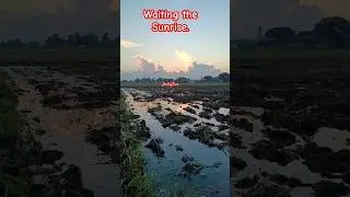 Waiting the sunrise..#IndayTess