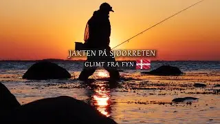 Havørred Fyn - Sjøørretfiske 