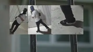 Dallas Police searching for suspect in multiple sexual assaults