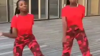Twins killing level up challenge 😮🔥🔥