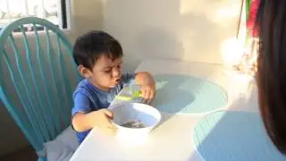 Copy of Cookie