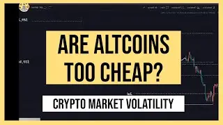 Dec 9: Crypto Market Volatility | Are Altcoins Too Cheap? | Token Metrics Live