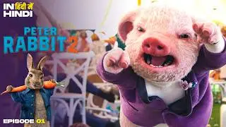 शादी में पिग ने दूल्हे पर किया हमला! 🐖💥💍😲 | Peter Rabbit 2 | Brand New Ep
