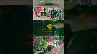 Gen Z's Graffiti Wave|Dhaka's Streets Come Alive| New Bangladesh