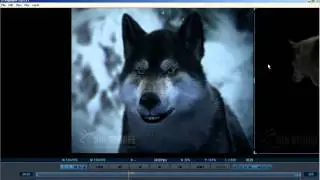 PDPLAYER - 7. Masks, Exporting Movies- video tutorial - Chris Nichols