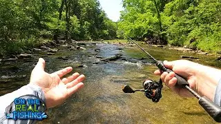 Ultralight Fishing in an Peaceful Urban Creek