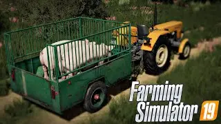 KOLONIA 1990 🌱 Wyw&oacute;z świń na spęd i sprzedaż ziemniak&oacute;w 😂 [#12] Od Farmy do Firmy 🌿 Rajot & Arikson