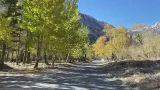 Fall Color @ McGee Creek Mono County California