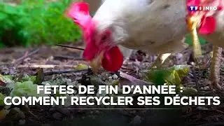 Fêtes de fin d'année : comment recycler ses déchets ｜TF1 INFO