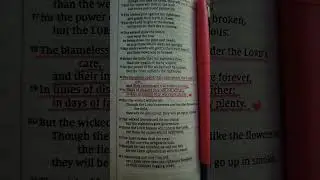 God watches over those who live with integrity and a pure heart. 🙏🏼 #psalm37 #biblestudy #godisgood