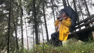 In the blackforest. full version. #harmonica #singing 