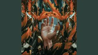 Waltz Trap