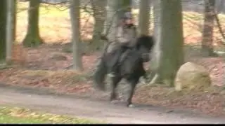 Hoegni T&ouml;lt