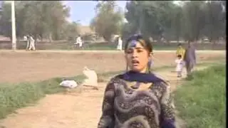 Sakon Te Lavien - Ejaz Rahi - Saraiki Songs Hits - Best Songs