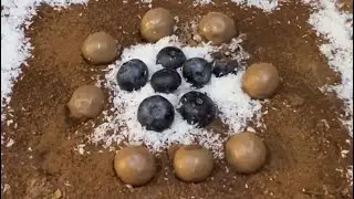 Sweet lovers cold layer cookies try it🍮😋