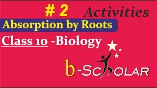 Absorption by Roots ( Part-2 )  | Class 10 -Biology |  ( ICSE )