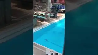 201b Diving Video
