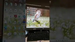 Hide Desktop icon #shots #windows