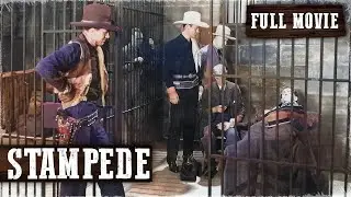 STAMPEDE | Charles Starrett | Full Western Movie | English | Free Wild West Movie