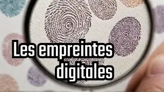 Pourquoi avons nous des empreintes digitales uniques ?