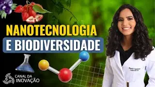 COSM&Eacute;TICOS E NANOTECNOLOGIA | Ativos da biodiversidade brasileira da ISnano
