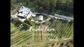 Eureka Farm