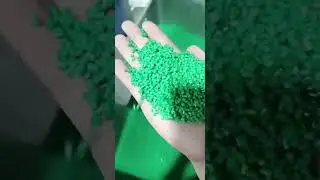 Green high density polyethylene recycled granules.