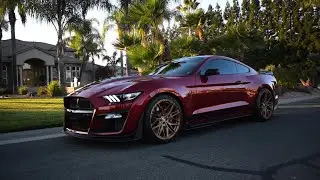 Shelby GT500 showcasing it&rsquo;s new set of Signature-wheels | HighTecFilms