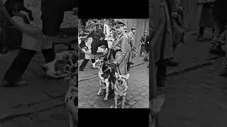 #AuthorityAndSilence#PowerAndControl#HistoryInFocus#TensionInStillness#BetweenBattles#history #old