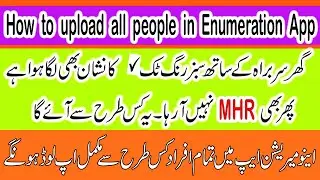 How to upload all people data in Self-Enumeration | How to complete  people data| Ramzan Cheena Mank