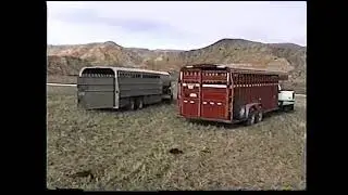 2041883-42-CLOUD-unnamed-horse farm
