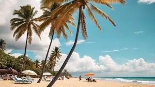 Vibrancia de verano