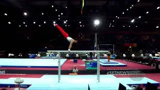 BRAEGGER Pablo (SUI) - 2019 Artistic Worlds, Stuttgart (GER) - Qualifications Parallel Bars