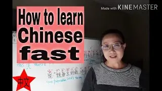 How to learn Chinese: Faster ,Tough and accurate /M3：4  (2020)