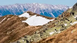 Video V&acirc;rful Leaota