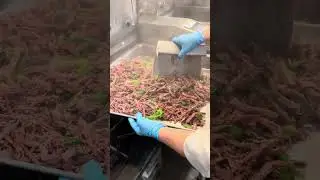 Pulled Brisket Being Seared with Veggies in MealPro Kitchen.
