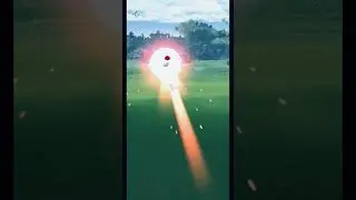 ✨SHINY✨ DARUMAKA From Research Quest | Pok&eacute;mon GO