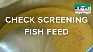 Check screening fish feed - Russell Compact Sieve&reg;