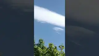 5 мая 2024 г.