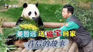 姜爷爷送福宝回国背后的故事：母亲去世为何仍坚持前往，中国外交官去姜爷爷老家吊唁，姜爷爷看福宝隔离视频的反应
