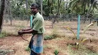 Traditional Ground Water Finding Method in Village area#groundwater_survey #ground #traditional