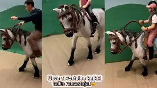 Usva arvostelee KAIKKI Usvan tallin ratsastajat😨💙😬