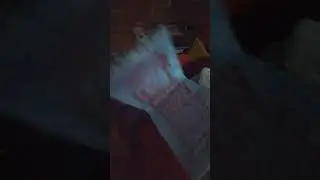 My Shark Puppet paper puppet
