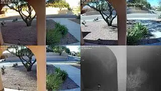 20260118 - AZ - Home Camera log