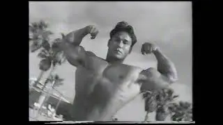1993 Amateur Grand Prix Women's & Men's Bodybuilding Championships
