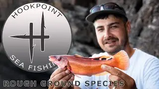 How to Target Mixed Species Over Rough Ground - Catch Cuckoo Wrasse, Triggerfish and Ballan Wrasse